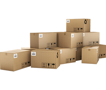 Warehouse & Shipping Warehouse & Shipping