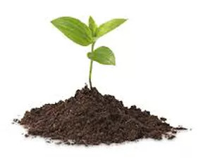 ENVIRONMENT & COMMUNITY